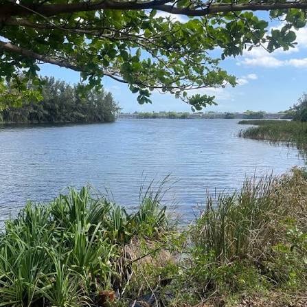 Balavaan Realty under contract for large parcel in North Miami
